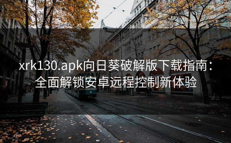 xrk130.apk向日葵破解版下载指南：全面解锁安卓远程控制新体验