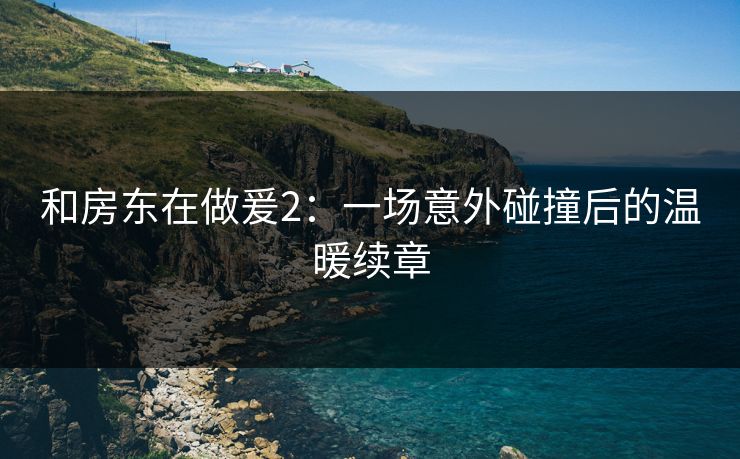 和房东在做爰2：一场意外碰撞后的温暖续章
