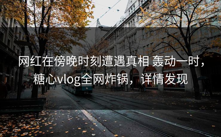 网红在傍晚时刻遭遇真相 轰动一时，糖心vlog全网炸锅，详情发现