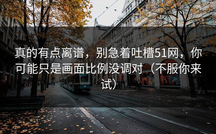 真的有点离谱，别急着吐槽51网，你可能只是画面比例没调对（不服你来试）